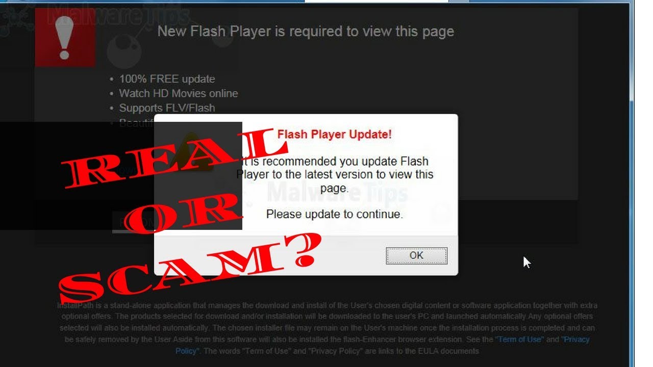 Flash player 12 dmg free